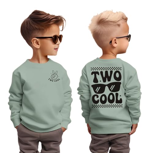 CM C&M WODRO 2. Geburtstag Junge Sweatshirt Two COOL Pullover für Kleinkinder Zweiter Geburtstags Sweatshirts Herbst Winter Langarmshirt Kinder Ankündigung Outfit Baumwolle Babyshirt(Grün,2 Jahre) von CM C&M WODRO