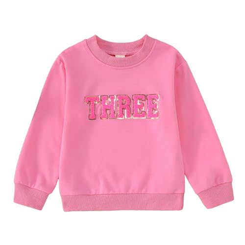 CM C&M WODRO Baby Mädchen Schwester Outfit Kinder Geburtstag Sweatshirt Buchstaben Stickerei Pullover 2-9 Jahre Geburtstagparty Kostüm Autumn Langarm Babykleidung Rundhals Langarmshirt(Rosa,3 Jahre) von CM C&M WODRO