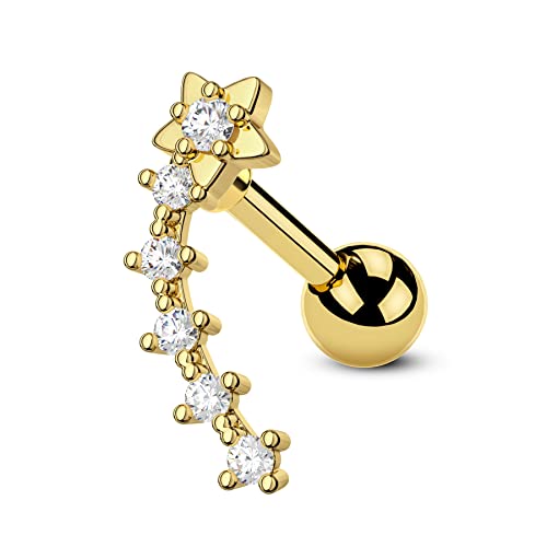 CM Crareesi Mania Stern Helix Ohrringe: 16G Gold 316L Edelstahl fnfwinzige klare CZ Helix Ohrringe Conch Lobe Piercing Schmuck fr Mdchen und Damen von CM Crareesi Mania