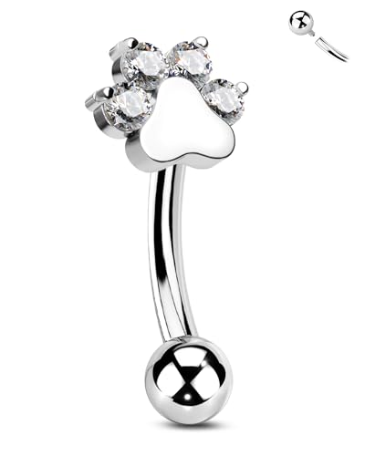 CM Crareesi Mania Titan Rook Piercing Schmuck Pfoten Augenbrauen Piercing Knorpel Helix Ohrring Curved Barbell Innengewinde Daith Tragus Schmuck 16G Labret Lippenpiercing Klarer CZ für Frauen 6mm CM Crareesi Mania Titan Rook Piercing Schmuck Pfoten Augenbrauen Piercing Knorpel Helix Ohrring Curved Barbell Innengewinde Daith Tragus Schmuck 16G Labret Lippenpiercing Klarer CZ für Frauen 6mm von CM Crareesi Mania
