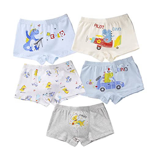 CM-Kid Babys Mutande, Set Intimo, Boxer per Ragazzi Boxershorts, Dinosauro blu, 5-6 anni von CM-Kid