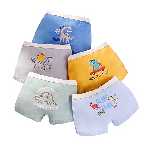 CM-Kid Boxershorts Baby Jungen Unterhosen Kinder Unterwäsche 5er Pack Baumwolle 12-14 Jahre Dino Bunt Gr.152-158 von CM-Kid