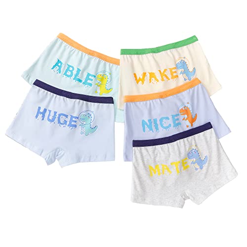 CM-Kid Boxershorts Jungen Unterhosen Kinder Unterwäsche 5er Pack Baumwolle 6-7 Jahre Dinosaurier Nice Gr.122-128 von CM-Kid