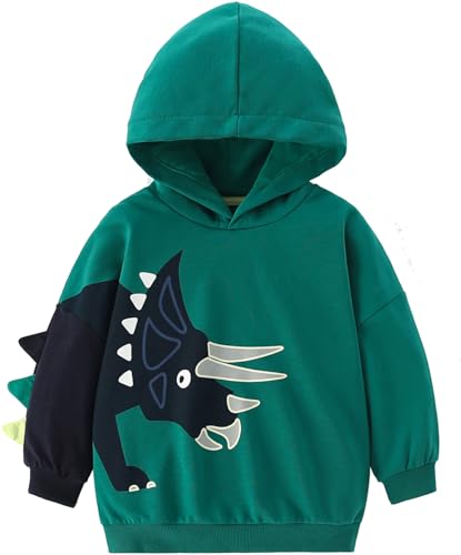 CM-Kid Hoodie Jungen Kapuzenpullover Langarm Baby Kinder Sweatshirts Warm Winter Tops 1 2 Jahre Dinosaurier Grün Gr.92 von CM-Kid
