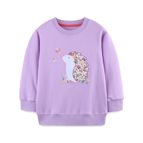 CM-Kid Mädchen Pullover Kinder Sweatshirt Mädchen Langarm Lila Shirt Igel Herbst Tops 3 4 Jahre Gr. 104 von CM-Kid