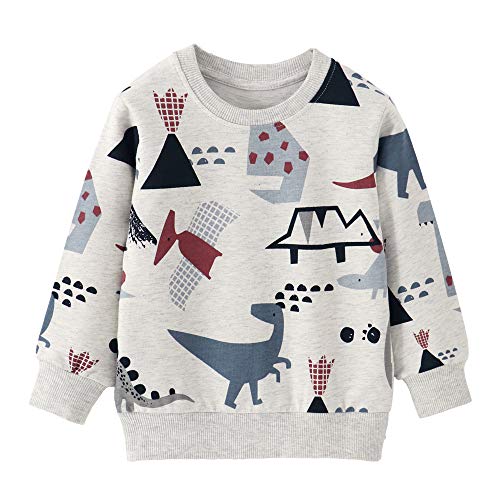 CM-Kid Sweatshirt Jungen Langarm Baumwolle Kinder Pullover Frühling Herbst Winter Tops 4 5 Jahre Hellgrau Bunt Dino Gr.110 von CM-Kid