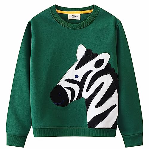 CM-Kid Sweatshirt Jungen Langarm Shirt Kinder Pullover Frühling Herbst Winter Warm 5 6 Jahre Zebra Grün Gr.116 von CM-Kid