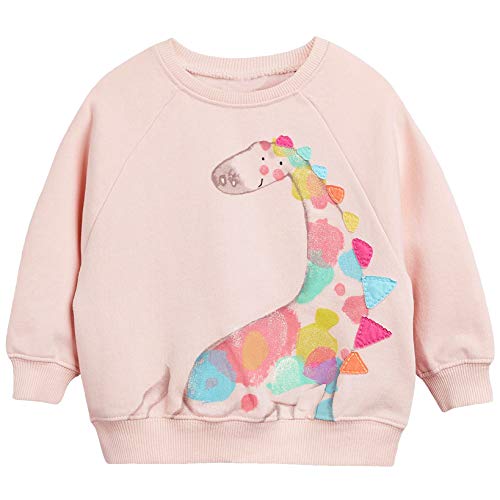 CM-Kid Sweatshirt Mädchen Langarm Pullover Kinder Shirts Baumwolle Dinosaurier Warm Tops 4 5 Jahre Giraffe Rosa Gr.110 von CM-Kid