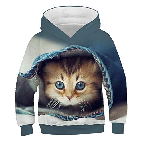 COAOBO Kinder Hoodie 3D Druck，Mode Herbst Winter Hoodies Nette Katze Kinder Kleidung Für Kinder Mädchen Langarm Druck 3D Cat Tops Kleidung-120Cm von COAOBO