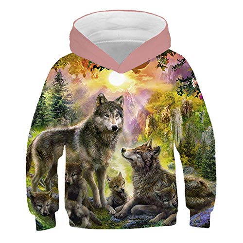 COAOBO Kinder Hoodie 3D Druck，Mode Wolf Print Pullover Jungen Mädchen Sweatshirt Lässig Hip Hop Streetwear Winter Langarm Kapuze Kinder Kleidung-100Cm von COAOBO