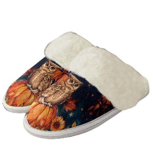 COEQINE Bedruckte Hausschuhe für Damen, Weihnachtsgeschenke, Hausschuhe mit rutschfester Gummisohle, Größe 36–47, Süßer Eulenkürbis, 12/12.5 UK Narrow von COEQINE