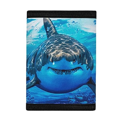 COEQINE Kinder-Geldbörse für Jungen und Mädchen, 9–12, Weihnachts-Spardose für Kleinkinder, Geburt, Geldbörse, dreifach gefaltet, Geldtasche mit Weihnachtsfeier, Blau (Shark Blue) von COEQINE