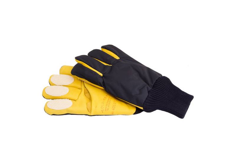 COLDTEX Winter-Arbeitshandschuhe (1-St) EN 511:2006 von COLDTEX