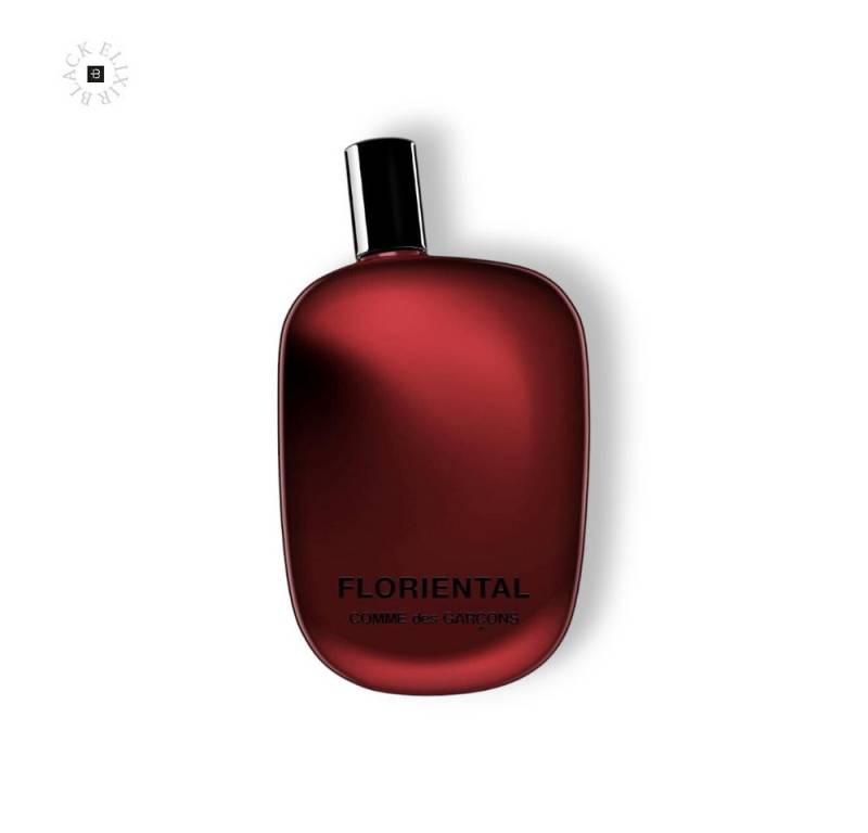 COMME des GARÇONS Eau de Parfum Comme des Garçons Floriental Eau de Parfum 100 ml, 1-tlg., EDP COMME des GARÇONS Eau de Parfum Comme des Garçons Floriental Eau de Parfum 100 ml, 1-tlg., EDP von COMME des GARÇONS