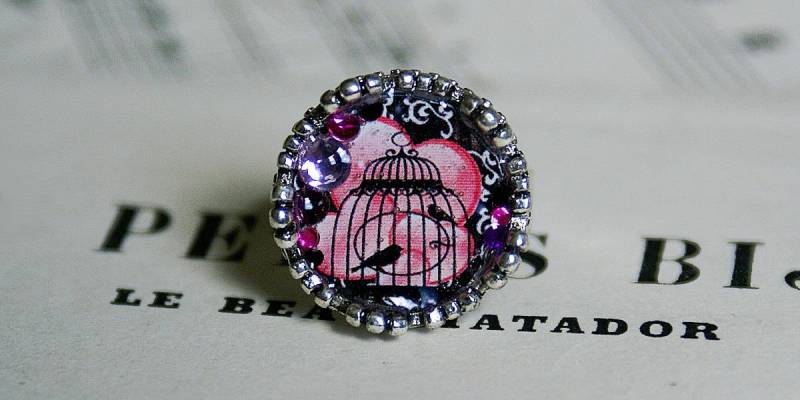 Ring Aus Harz Und Silber Metall Mit Einem Vogelkäfig Illustration von COMME1ange