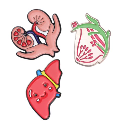 CONGARTENO 3 Stück Kreative Organ Metallbroschen Herz Lunge Niedliche Anstecknadeln für Kleidung Rucksack Jacke Körperpflege Accessoires von CONGARTENO