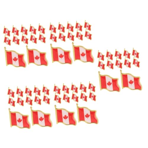 CONGARTENO 5 Sätze Flagge Broschen Anstecker Nationalflaggen Pins Für Kleidung Für Jacken Schals Und 25 Stück * 5 von CONGARTENO