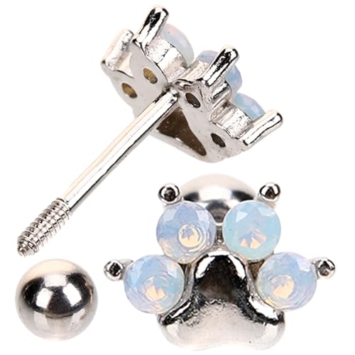 CONGARTENO Silber Ohrstecker Katzenpfote mit Zirkonia Personalisierte Damen Ohrringe Ohrschmuck für Teenager Mädchen Langlebige Dezente Ear Studs Geschenkidee von CONGARTENO