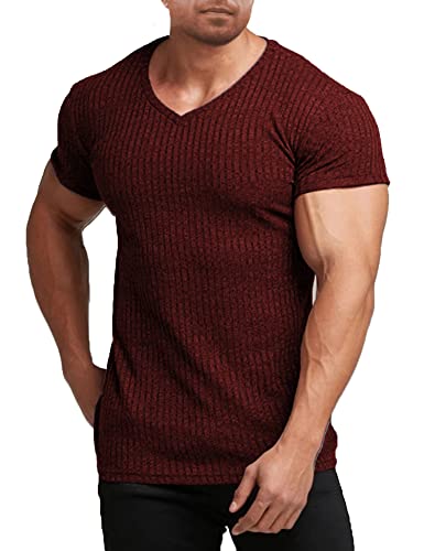 COOFANDY Herren Muskel T Shirts Stretch Kurzarm V-Ausschnitt Bodybuilding Workout T-Shirts, Weinrot, XL von COOFANDY