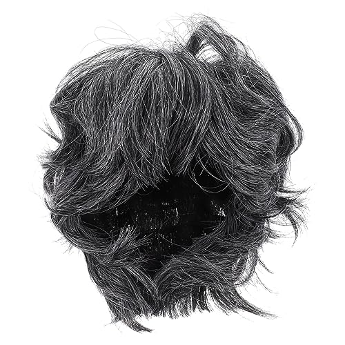 COSMEVIVI Kurze Perücke für Ältere Herren Graue Synthetische Cosplay Perücke für Kostümparty Rollenspiele und Veranstaltungen Dekorative Perücke für Männer von COSMEVIVI