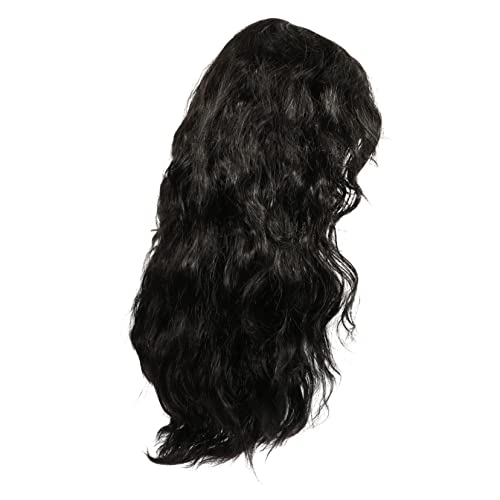 COSMEVIVI Herren Perücke Vintage Lockige Punk Rocker Cosplay Perücke Für Halloween Karneval Und Partys Hochwertige Synthetik Mit Natürlichem Haaransatz von COSMEVIVI