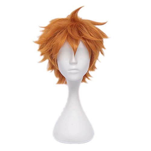 COSPLAZA Shoyo Hinata Haikyu Fluffy Orange Kurzes Haar Animation Zeichentrickfigur Rollenspiel Halloween Party Cosplay Perücken von COSPLAZA