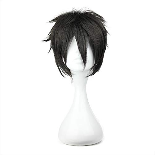 COSPLAZA Perücke Kirito kirigaya kazuto Sword Art Online Schwarz Anime Cosplay Wig Karneval Party Haar von COSPLAZA