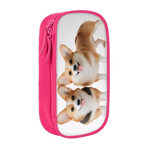 COWMMWOC Großes Federmäppchen mit großem Fassungsvermögen, multifunktionale Aufbewahrungstasche, strapazierfähiges Polyester-Oxford-Gewebe mit doppeltem Reißverschluss, 21 x 10,5 x 5 cm, 3D von COWMMWOC