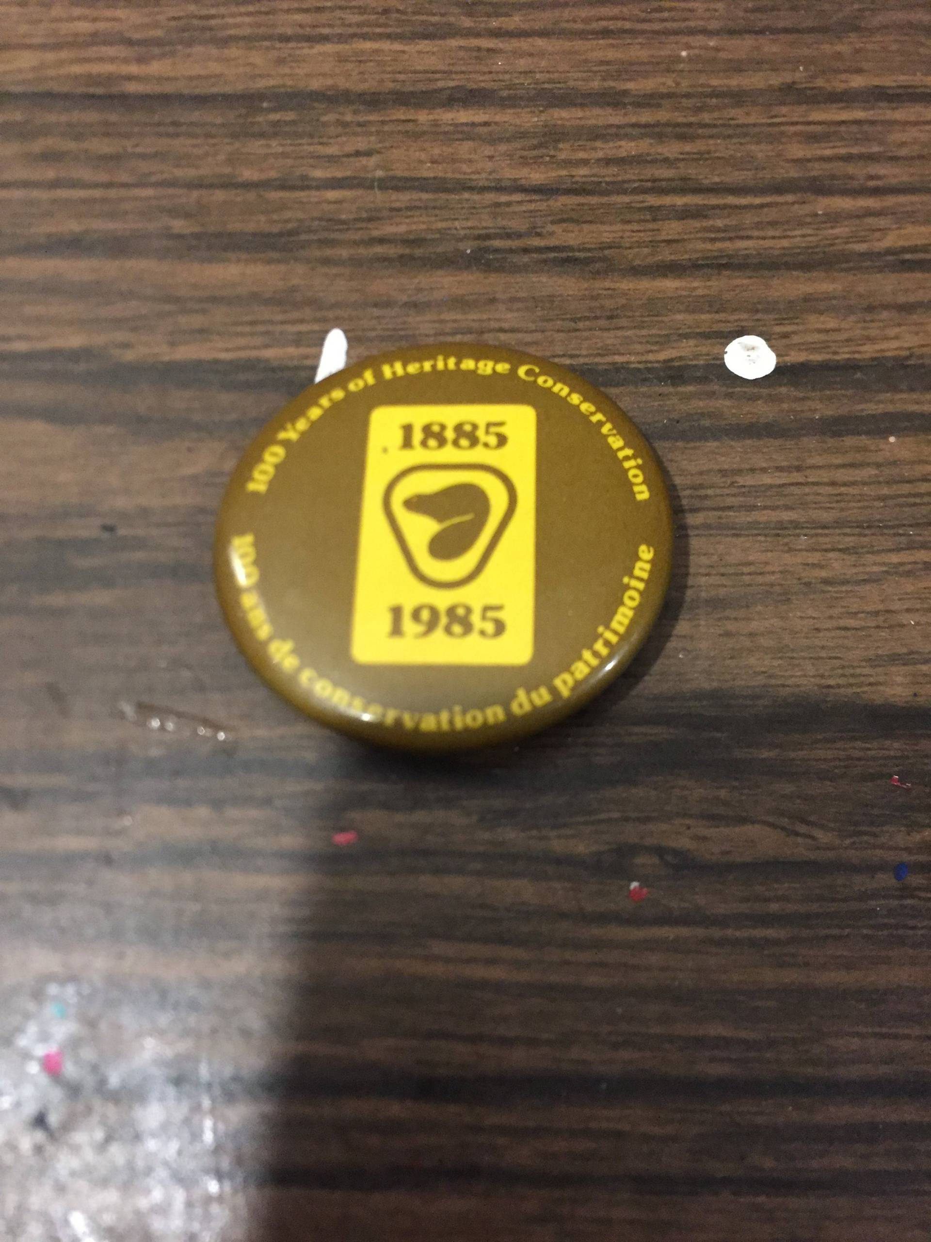 Vintage 1980Er Jahre Biber/Bergführerinnen Knopf - Seltener Nostalgie von CPJCollectibles