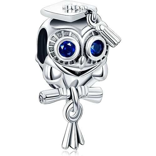 CQWVB Charm Anhänger Damen 925 Sterling Silber für Armband Charms Beads passend für Pandora Armband und Halskette, Kompatibel mit Europäischen Armbänder für Frauen Mädchen von CQWVB