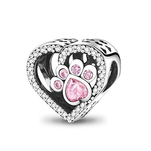 CQWVB Charm Anhänger Damen 925 Sterling Silber für Armband Charms Beads passend für Pandora Armband und Halskette, Kompatibel mit Europäischen Armbänder für Frauen Mädchen von CQWVB