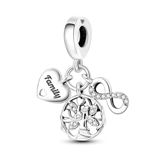 CQWVB Charm Anhänger Damen 925 Sterling Silber für Armband Charms Beads passend für Pandora Armband und Halskette, Kompatibel mit Europäischen Armbänder für Frauen Mädchen von CQWVB
