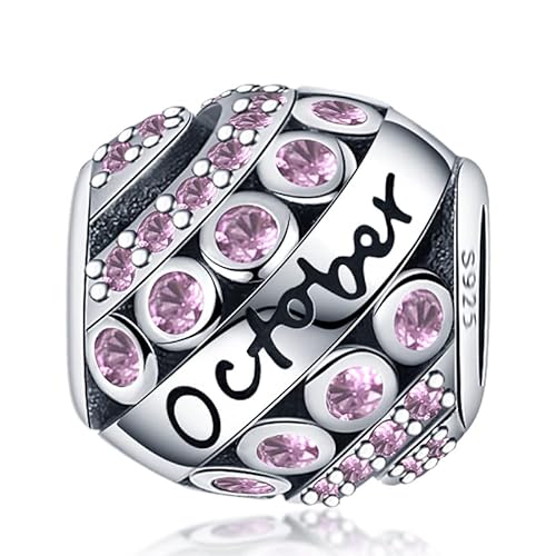 CQWVB Damen Charm Anhänger Geburtsstein für Armband 925 Sterling Silber 12 Geburtsstein Charms Beads passend für Pandora Armband, Kompatibel mit Europäischen Armband und Halskette für Frauen Mädche von CQWVB