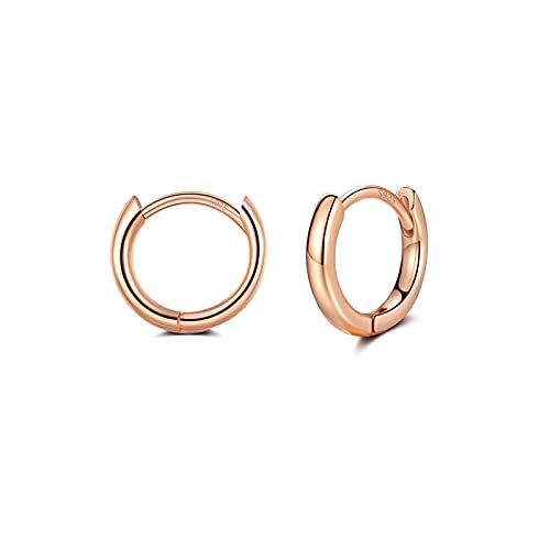 Creolen Rosegold Klein für Damen Herren Mädchen, Ohrringe Rosegold Creolen Set (8mm,10mm,12mm) Knorpel Tragus Helix Silber Schlafen Ohrringe von CRASLYMO