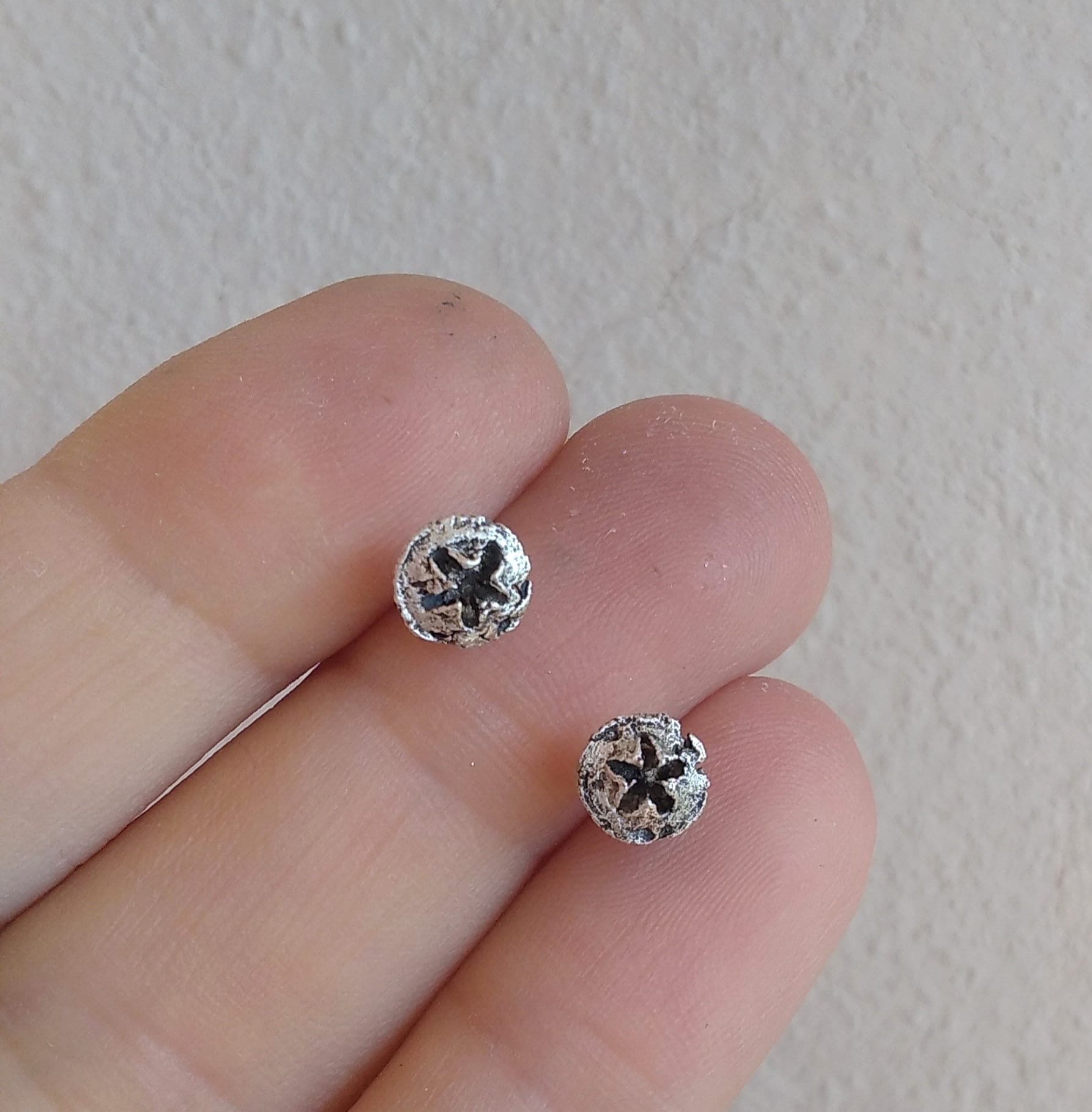 Eukalyptus-Samenkapsel Ohrstecker Eukalyptus-Samenkapsel Ohrstecker von CREATEMariaApostolou