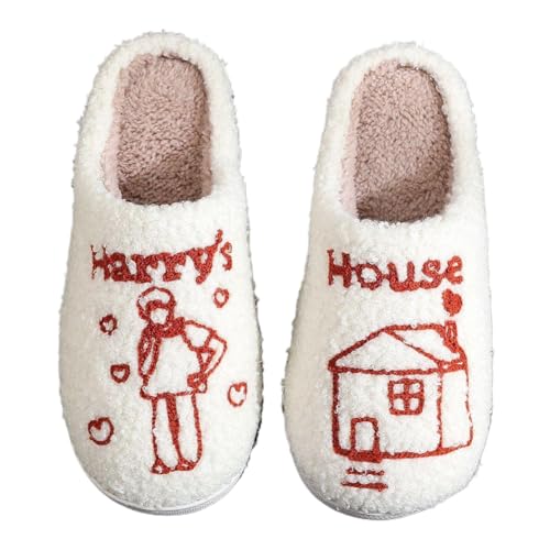CRGANGZY HARRY'S HAUS SHAUS PRÜFUNGEN NETTE Hausausschöpfen Nicht-Schlupf-Plüsch-Paar Pantoffeln bequeme Fuzzy-Innenschuhe weich for Innenzimmer (38-39) von CRGANGZY