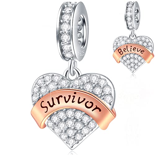Glaube Überlebende Herz Anhänger Charms, passt Pandora Krebs Bewusstsein Armband, 925 Sterling Silber Believe Survivor klare funkelnde Liebe Perlen, Geschenk für Frauen/Tante/Schwester von CRISNATA