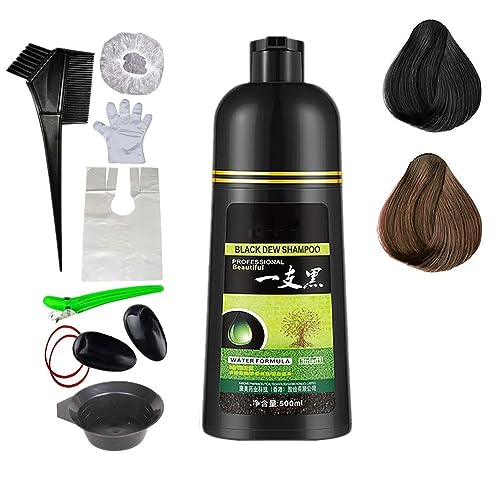 Yaguan Herbal Shampoo, 3 in 1 Black Hair Dye Shampoo, Herbal Hair Coloring Shampoo, Hair Coloring Shampoo in 10 Minutes, Instant Hair Color Shampoo For Women Men von CROE