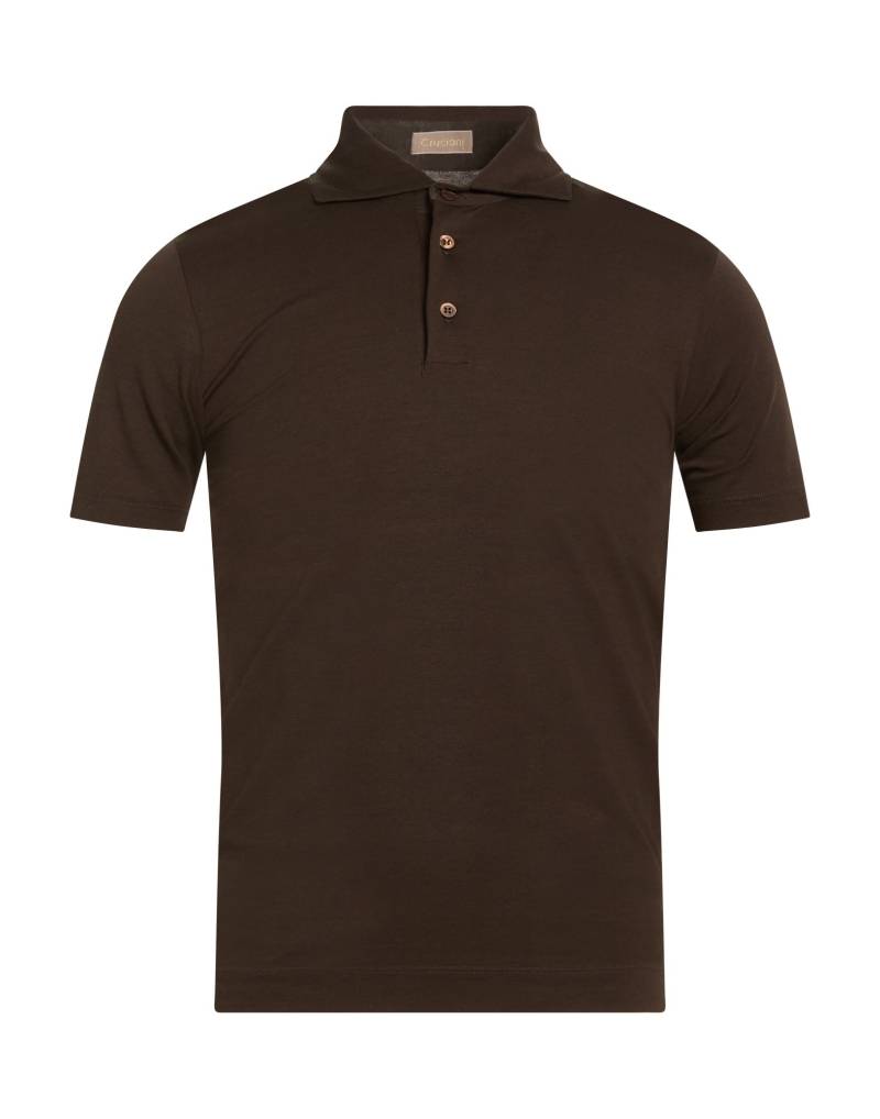 CRUCIANI Poloshirt Herren Dunkelbraun von CRUCIANI