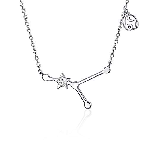 CRYSLOVE Halskette Sternzeichen Cubic Zirconia Sternbilder 12 Horoskop Astrologie Anhänger Kette Klar Schmuck für Damen Mädschen CRYSLOVE Halskette Sternzeichen Cubic Zirconia Sternbilder 12 Horoskop Astrologie Anhänger Kette Klar Schmuck für Damen Mädschen von CRYSLOVE