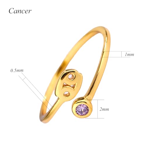 CRYSLOVE Sternzeichen Zehenringe für Damen 14K Goldgefüllt 12 Konstellation Sternzeichen Zirkonia Verstellbarer Offene Fingerring Toe Ring,Strand Sommer Fuß Schmuck (Krebs) von CRYSLOVE