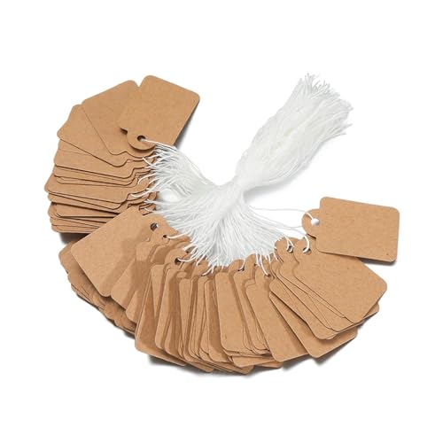 CSFFA 100 Teile/los Preisschild-Tags String Krawatte Uhr Schmuck Display Waren Preisschild Papierkarten Rechteckigen Blank Preisschild(Brown_25x15mm) von CSFFA