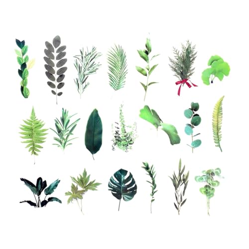 CSFFA 40 Teile/Beutel Pflanze Natur Blume Dekorative PVC Aufkleber Epoxidharz Handwerk Füllstoffe Material for DIY Epoxidharz Formen Buch Dekor(Light Grey) von CSFFA