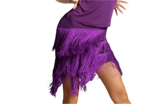 Kinder Fransen Kurzes Kleid Kinder Latin Dance Rock Übungskostüme für Mädchen Cha Cha Samba Tango Bühnenshow Gymnastik Tanzkleidung Quastenrock,Purple b,130cm von CSSOL