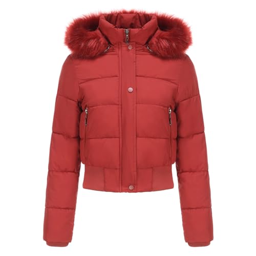 Winter Jacke für Damen Schlicht Klassische Daunenjacke mit Reißverschluss Frauen Down Coat Pufferjacke mit Kapuze Daunenmantel Outdoorjacke Steppjacke Warme Jacke Wintermantel von CSWH