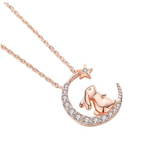 CTIRCHIU Stern Halskette Für Damen Halskette Für Frauen Elegantes Design Accessoires Für Outfits von CTIRCHIU