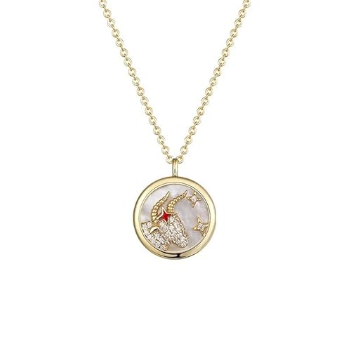 CWZZWS Halskette einzigartige Zodiac Design Halskette 925 Runde Pendellschlüsselketten Kette Geburtstagsgeschenk für Freundin, Frau Halsketten für Frauen von CWZZWS