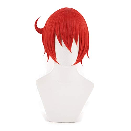 Cosplay wig Hataraku Saibu -Zellen bei der Arbeit Erythrozyten rote Blutkörperchen Kurzes Perücken Cosplay Kostüm hitzebeständige synthetische Haare Frauen Perücken von CWZZWS