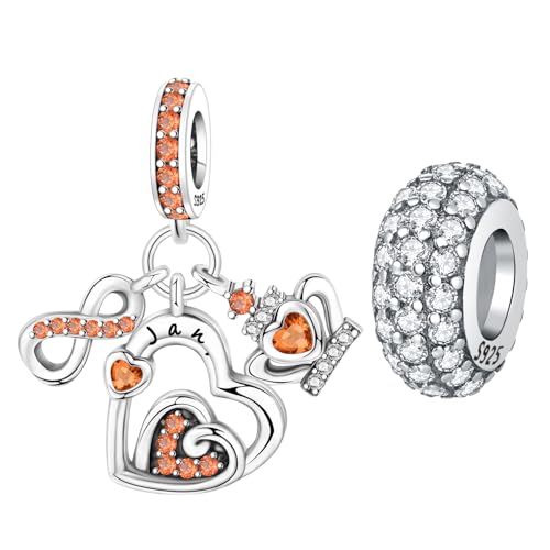 CYCUFF 925 Sterling Silber Charms Geeignet für Armband Anhänger Perlen, Charm Halsketten Schmuck Geschenk für Frauen (Geburtsstein-Charm - Januar & Twinkle Spacer Bead) von CYCUFF