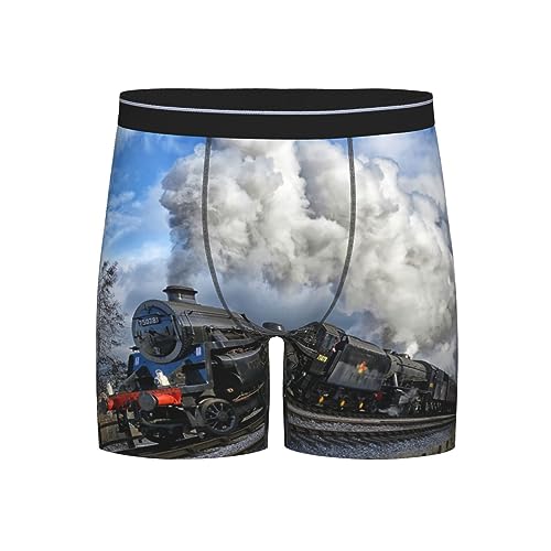 CZZYH Atmungsaktive und leichte lange Herren-Unterwäsche, Track Scenic Train Herren-Boxershorts, mit elastischem Bund, weich, schnell trocknend, siehe abbildung, M von CZZYH